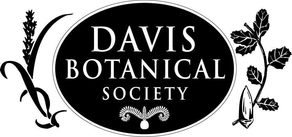 Davis Botanical Society oval logo with drawing of Tuctorie mucronata on the left and Quercus